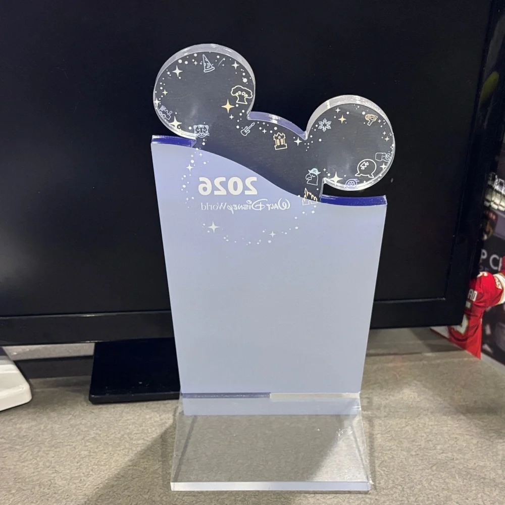 Disney experience magic